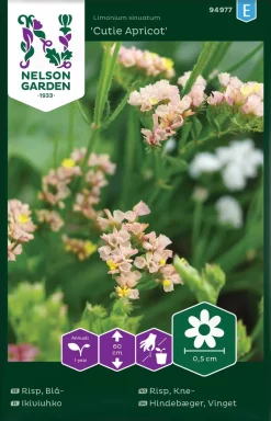 Nelson Garden Siemen Sini-ikiviuhko Cutie Apricot
