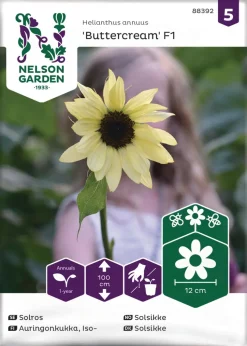 Nelson Garden Siemen Auringonkukka, Kääpiö-, Buttercream F1