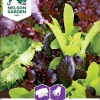 Nelson Garden Siemen Salaatti, Baby Leaf, Seos, Kylvönau -Piha myymälä CouCwYBhKSs86p icV5gbS