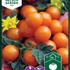 Nelson Garden Siemen Tomaatti, Kirsikka-, Sungold F1 -Piha myymälä D7aByoAM4N48w63S0CTd2a