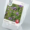 Nelson Garden Siemen Aitohunajakukka 250g 1 Nelson Garden Siemen Aitohunajakukka 250g -Piha myymälä D8CgAy3 KI9BndR6gAJuxG