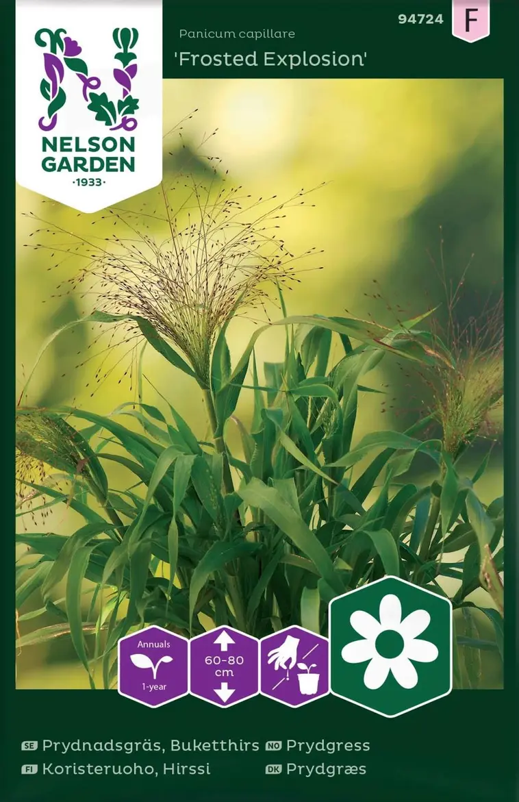 Nelson Garden Siemen Koristeruoho, Hirssi, Frosted Explosion 3 Nelson Garden Siemen Koristeruoho, Hirssi, Frosted Explosion