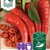 Nelson Garden Siemen Paprika, Chili-, Cayenne Long Slim 1 Nelson Garden Siemen Paprika, Chili-, Cayenne Long Slim -Piha myymälä DNdHjtPHKsL9 BtzYz qgC