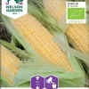 Nelson Garden Siemen Maissi, Sokeri-, Golden Bantam, Luomu 2 Nelson Garden Siemen Maissi, Sokeri-, Golden Bantam, Luomu -Piha myymälä DRrbLLTiqWn837lGpmhMjz