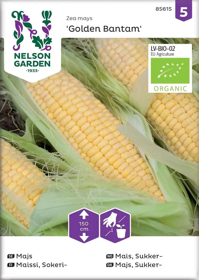 Nelson Garden Siemen Maissi, Sokeri-, Golden Bantam, Luomu 3 Nelson Garden Siemen Maissi, Sokeri-, Golden Bantam, Luomu