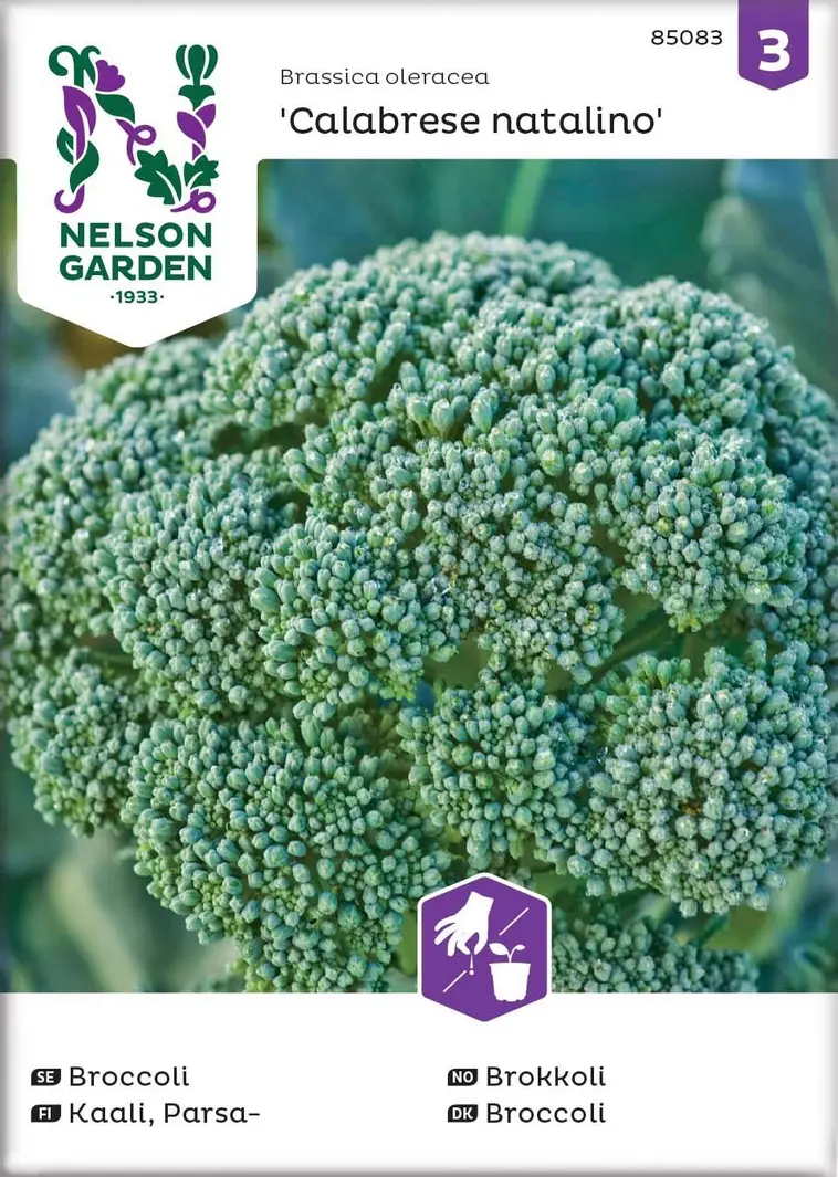 Nelson Garden Siemen Kaali, Parsa-, Calabrese Natalino 3 Nelson Garden Siemen Kaali, Parsa-, Calabrese Natalino