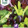 Nelson Garden Siemen Salaatti, Baby Leaf, Seos -Piha myymälä Dm6oF4gGqGp8h OBDhM1aJ