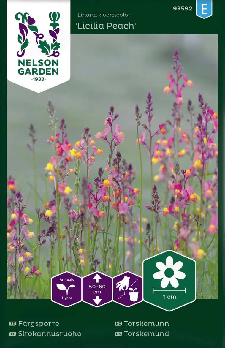 Nelson Garden Siemen Sirokannusruoho, Licilia Peach 3 Nelson Garden Siemen Sirokannusruoho, Licilia Peach