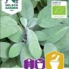 Nelson Garden Siemen Salvia, Ryyti-, Luomu