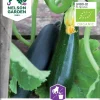 Nelson Garden Siemen Kurpitsa, Kesä-, Black Beauty, Luomu
