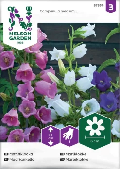 Nelson Garden Siemen Kello, Maarian, Seos