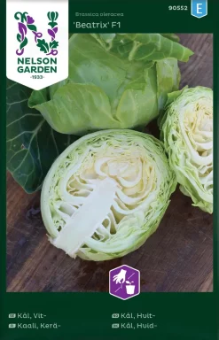 Nelson Garden Siemen Keräkaali Beatrix F1