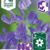 Nelson Garden Siemen Tuoksuherne, Royal Blue -Piha myymälä E 4PQEX54rSA4CuPGuDJ6X