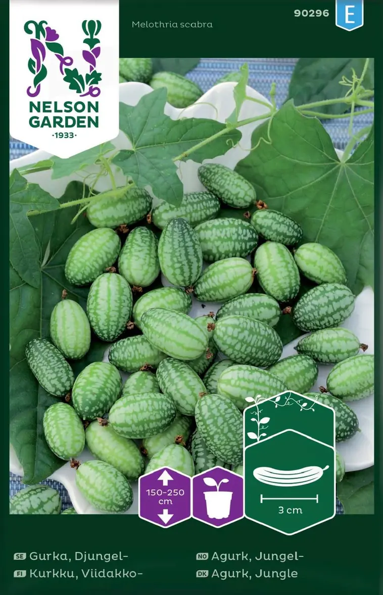 Nelson Garden Siemen Kurkku, Viidakko- 3 Nelson Garden Siemen Kurkku, Viidakko-