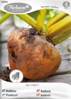 Nelson Garden Siemen Punajuuri, Burpees Golden