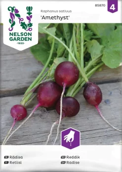 Nelson Garden Siemen Retiisi, Amethyst