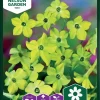 Nelson Garden Siemen Tupakka, Koriste-, Lime Green 1 Nelson Garden Siemen Tupakka, Koriste-, Lime Green -Piha myymälä EuAfEIp9axzBar0yKR9y5Y