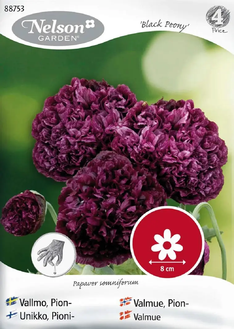 Nelson Garden Siemen Unikko, Pioni,- Black Peony 3 Nelson Garden Siemen Unikko, Pioni,- Black Peony