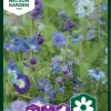 Nelson Garden Siemen Seos, Sinisiä Kesäkukkia -Piha myymälä EvkPP2lZqA 8rB92ZRbE0d