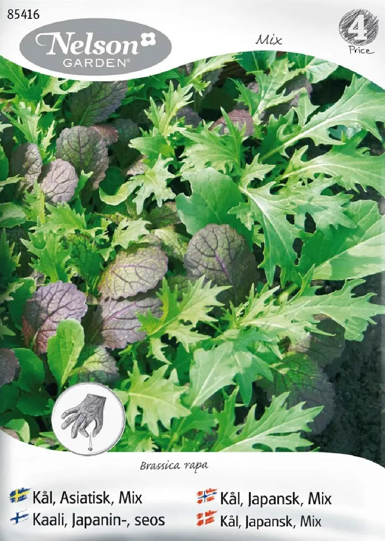 Nelson Garden Siemen Japanilaisia Maustevihanneksia 3 Nelson Garden Siemen Japanilaisia Maustevihanneksia