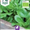 Nelson Garden Siemen Salaattivuonankaali, Vit, Luomu 2 Nelson Garden Siemen Salaattivuonankaali, Vit, Luomu -Piha myymälä FEj5WdgQqqjBEvw6J0c3Xc