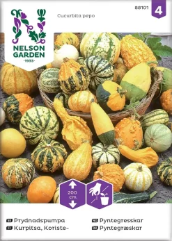 Nelson Garden Siemen Kurpitsa, Koriste, Seos