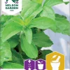 Nelson Garden Siemen Stevia -Piha myymälä FR8WUrSbaRfALlYEn QHbz