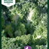 Nelson Garden Siemen Kaali, Lehti-, Emerald Ice -Piha myymälä FW3B4sKpKL188R46BKiPDx