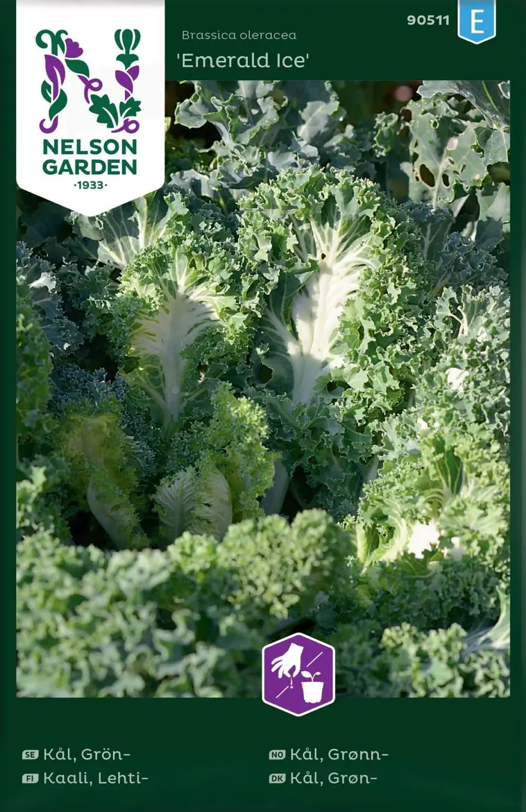Nelson Garden Siemen Kaali, Lehti-, Emerald Ice 3 Nelson Garden Siemen Kaali, Lehti-, Emerald Ice