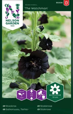 Nelson Garden Siemen Salkoruusu, Tarha-, The Watchman