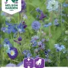Nelson Garden Siemen Seos, Sinisiä Kesäkukkia 2 Nelson Garden Siemen Seos, Sinisiä Kesäkukkia -Piha myymälä FgOfnlPZK8JBshMS2ijzTr