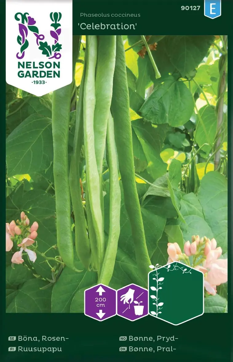 Nelson Garden Siemen Ruusupapu, Celebration 3 Nelson Garden Siemen Ruusupapu, Celebration